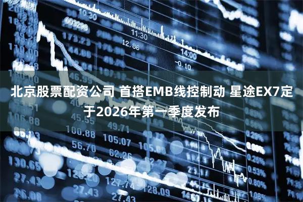 北京股票配资公司 首搭EMB线控制动 星途EX7定于2026年第一季度发布