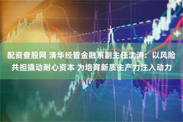 配资查股网 清华经管金融系副主任沈涛：以风险共担撬动耐心资本 为培育新质生产力注入动力